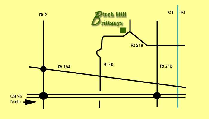 Map to Birch Hill Brittanys